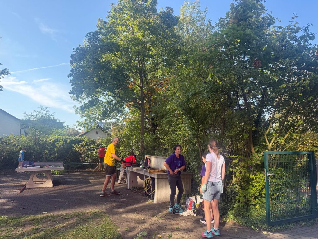 Rückschnitt im Hortus