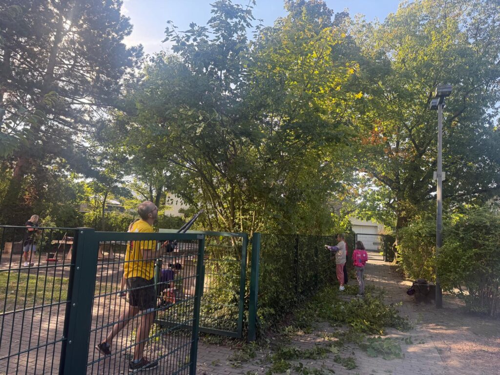 Rückschnitt im Hortus