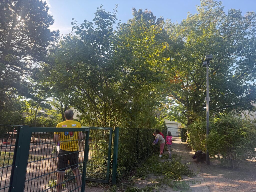 Rückschnitt im Hortus